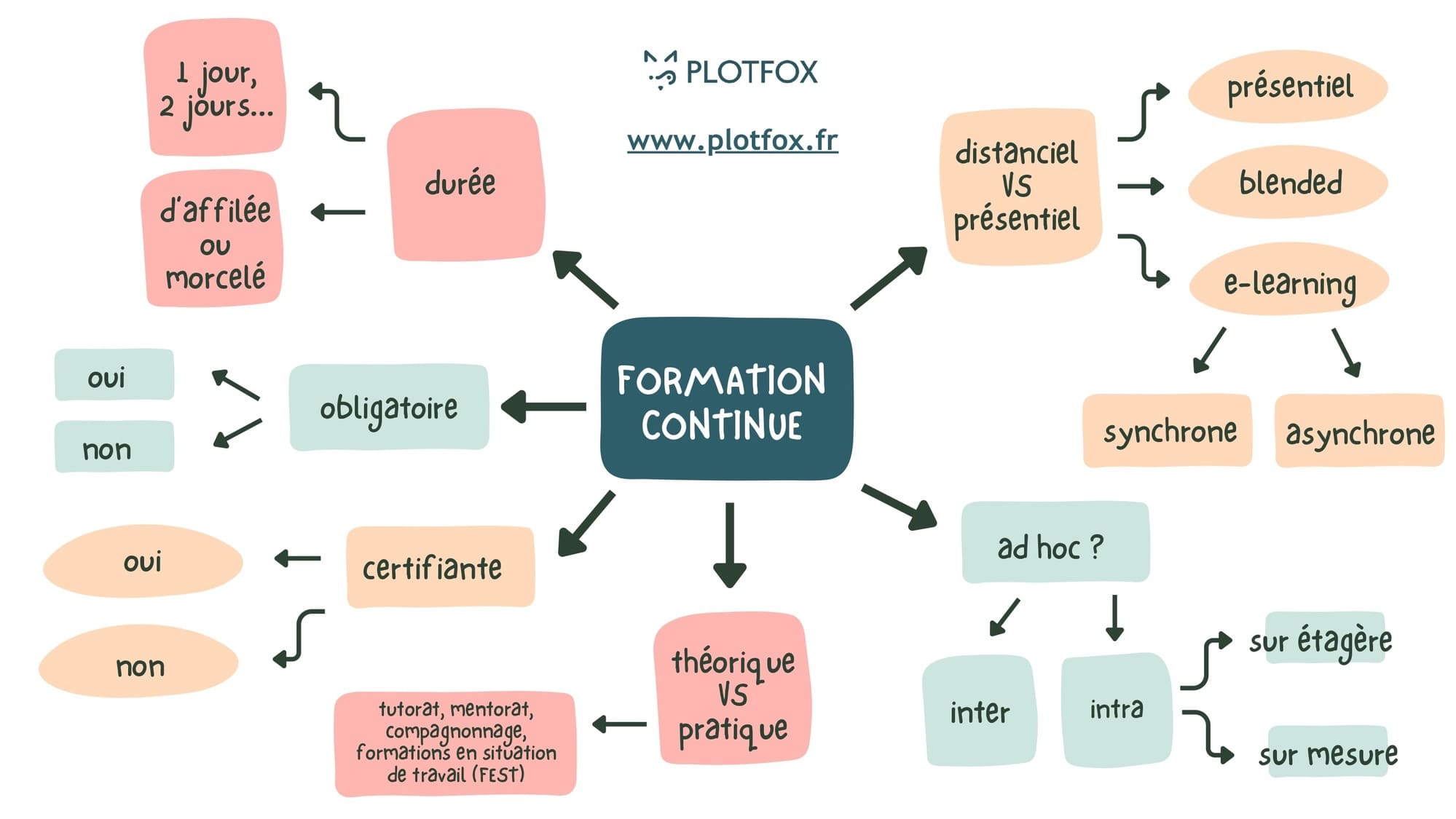 infographie processus choix formation